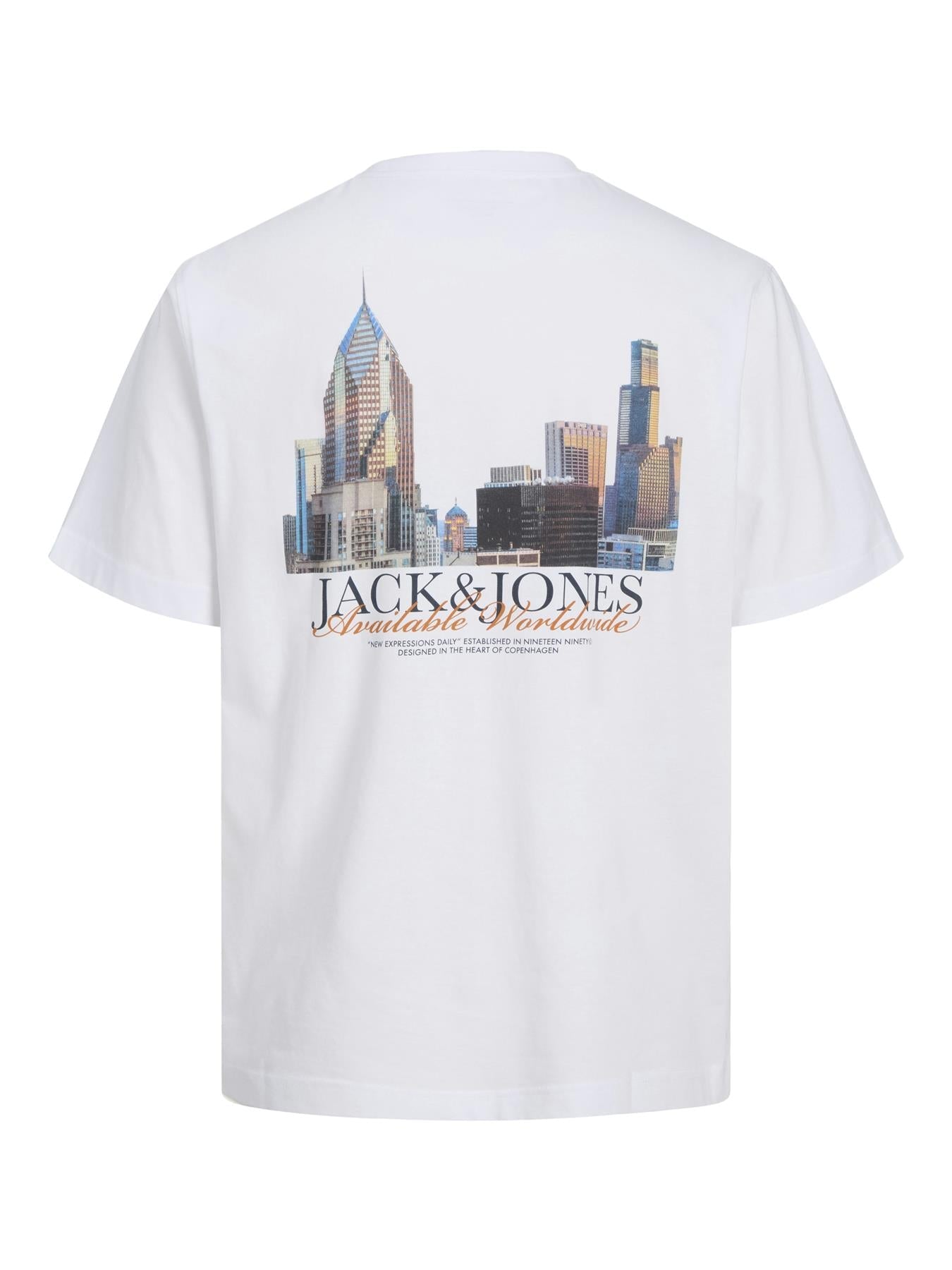 Jack & Jones Short Sleeves T-shirt For Men (JORBOSTON PHOTO) in 3 Colours, S-XXL