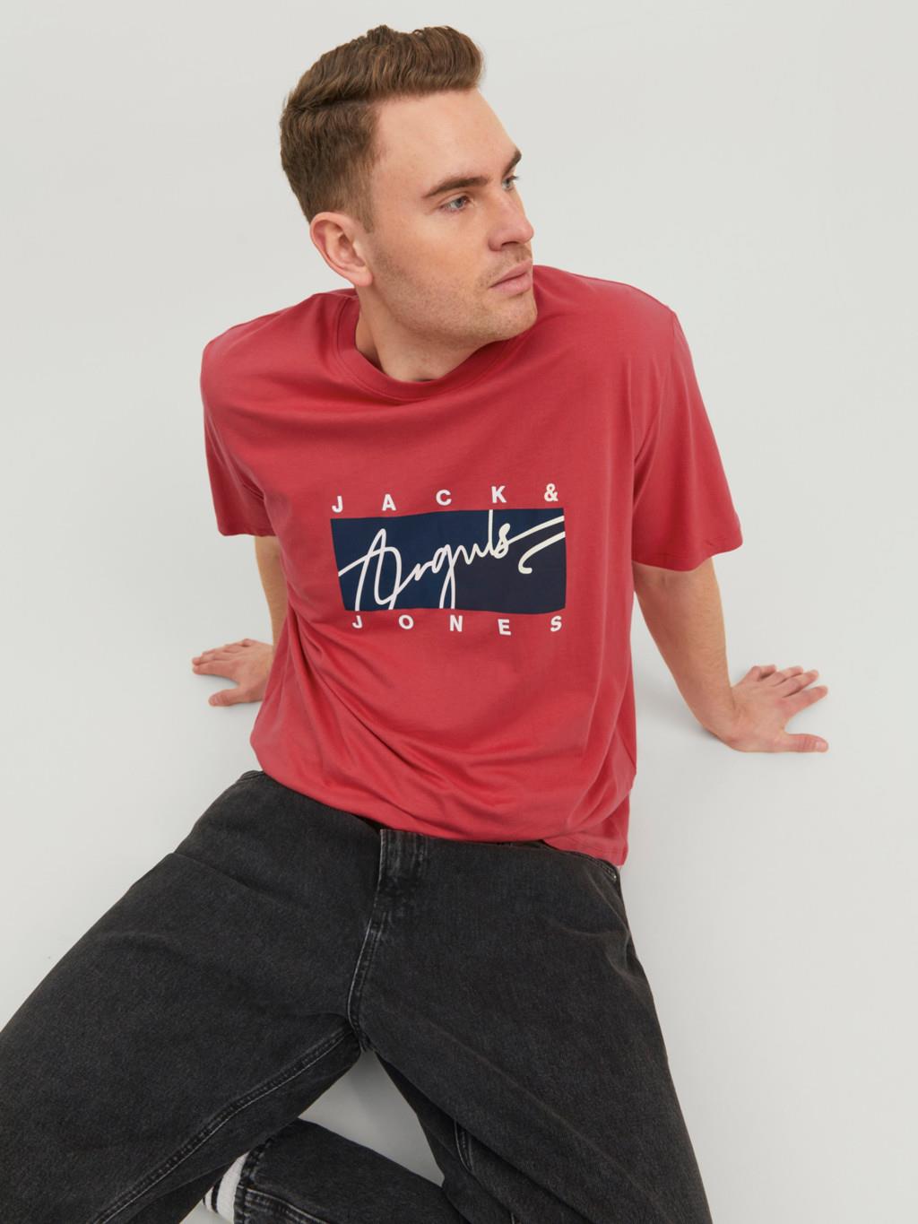 Jack & Jones Men's Plus Size JORJOSHUA Crew Neck Tee in 3 Colours 1XL to 6XL