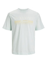 Jack & Jones (12240552) Men's Plus Size JORPALMA Branding T-Shirt in 2 Colours 1XL to 6XL