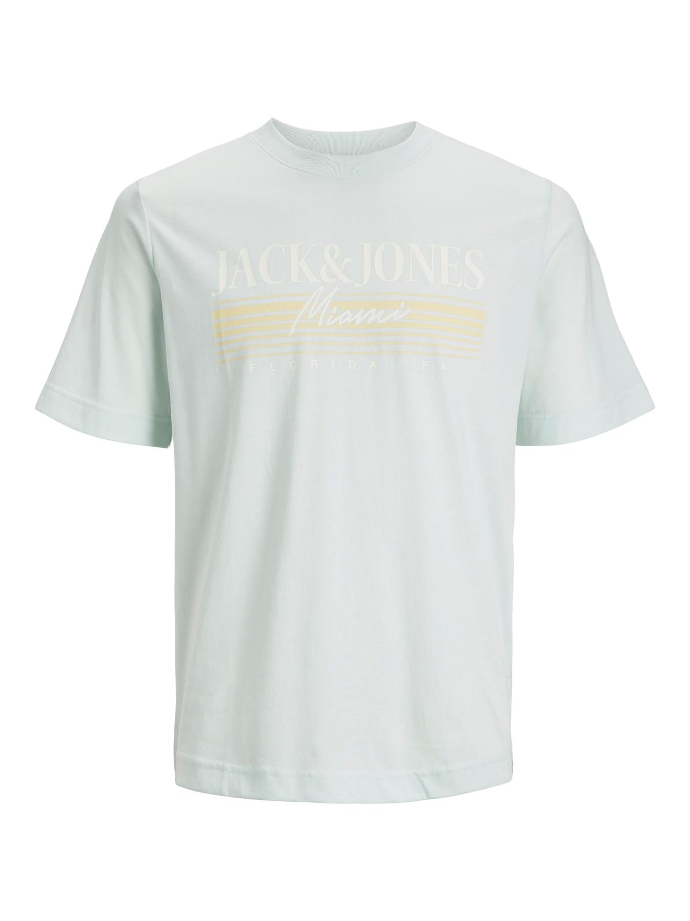 Jack & Jones (12240552) Men's Plus Size JORPALMA Branding T-Shirt in 2 Colours 1XL to 6XL