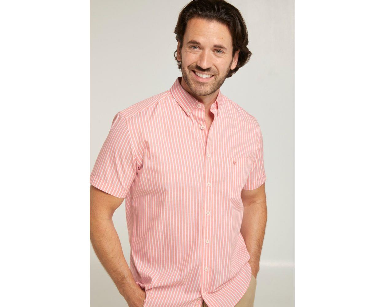 Double Two Men's Pure Cotton Short Sleeve Stripe Shirt in Pink/White 2XL to 5XL