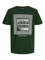Jack & Jones Plus (12245472) JJSTEIN SS Crew Neck T-Shirt in 2 Colour Options 1XL to 6XL