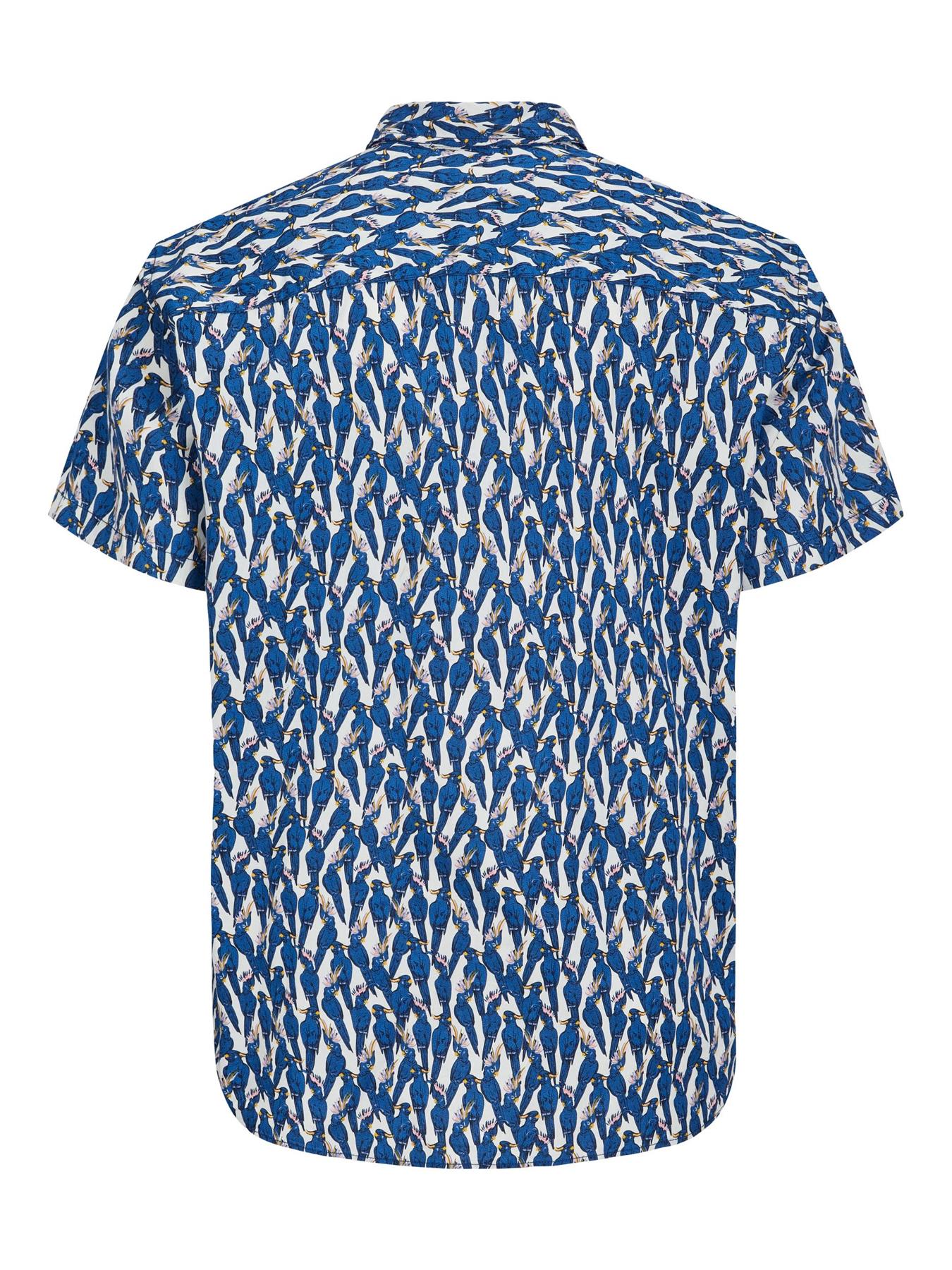 Jack & Jones (12240518) JORJAMES PALMA Short Sleeve Shirt in 3 Colour Options 1XL to 8XL