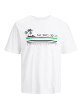 Jack & Jones (12240540) Men's Plus Size JORCODY T-Shirt in 3 Colours 1XL to 6XL