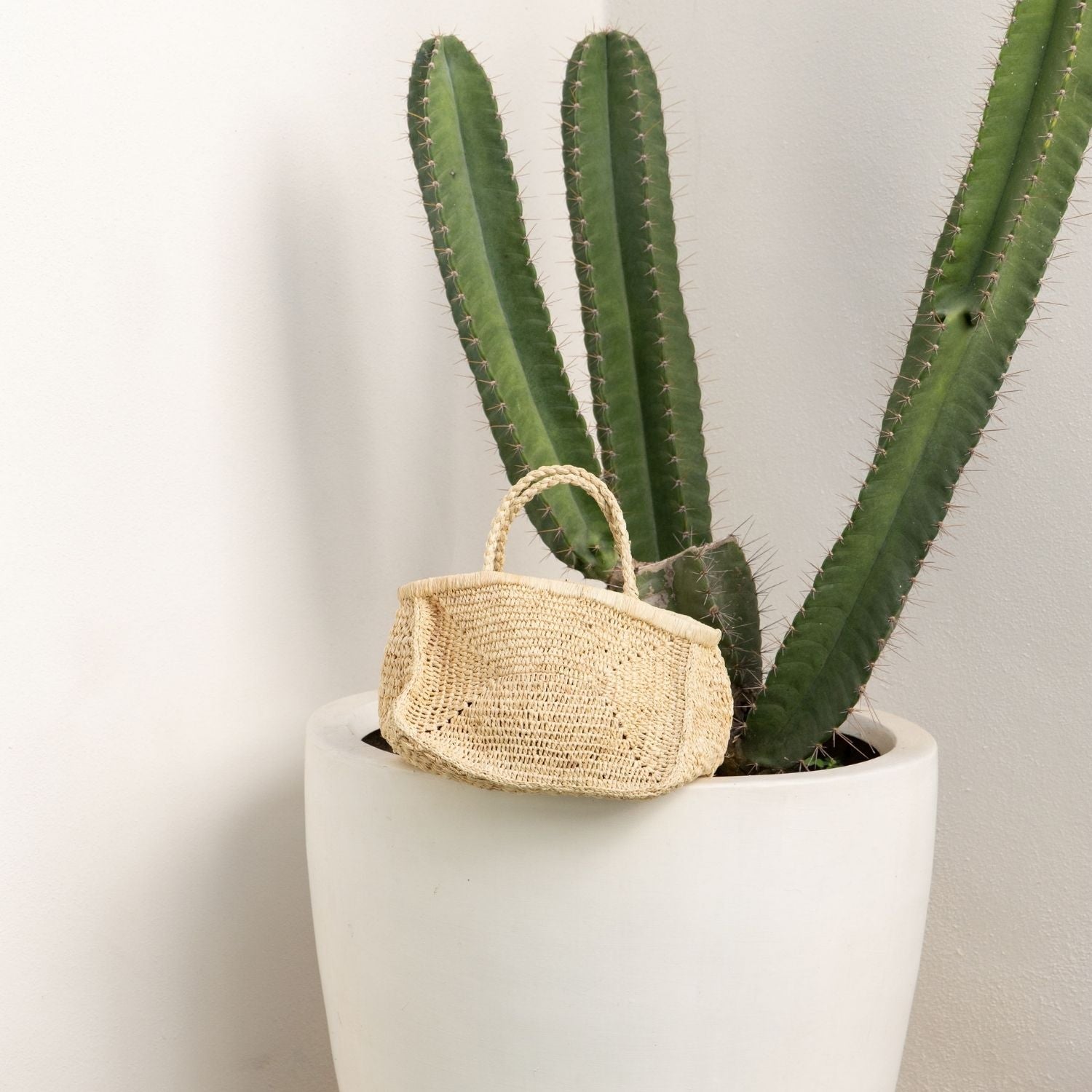 Clipa (Small) Raffia Beach Tote Bag
