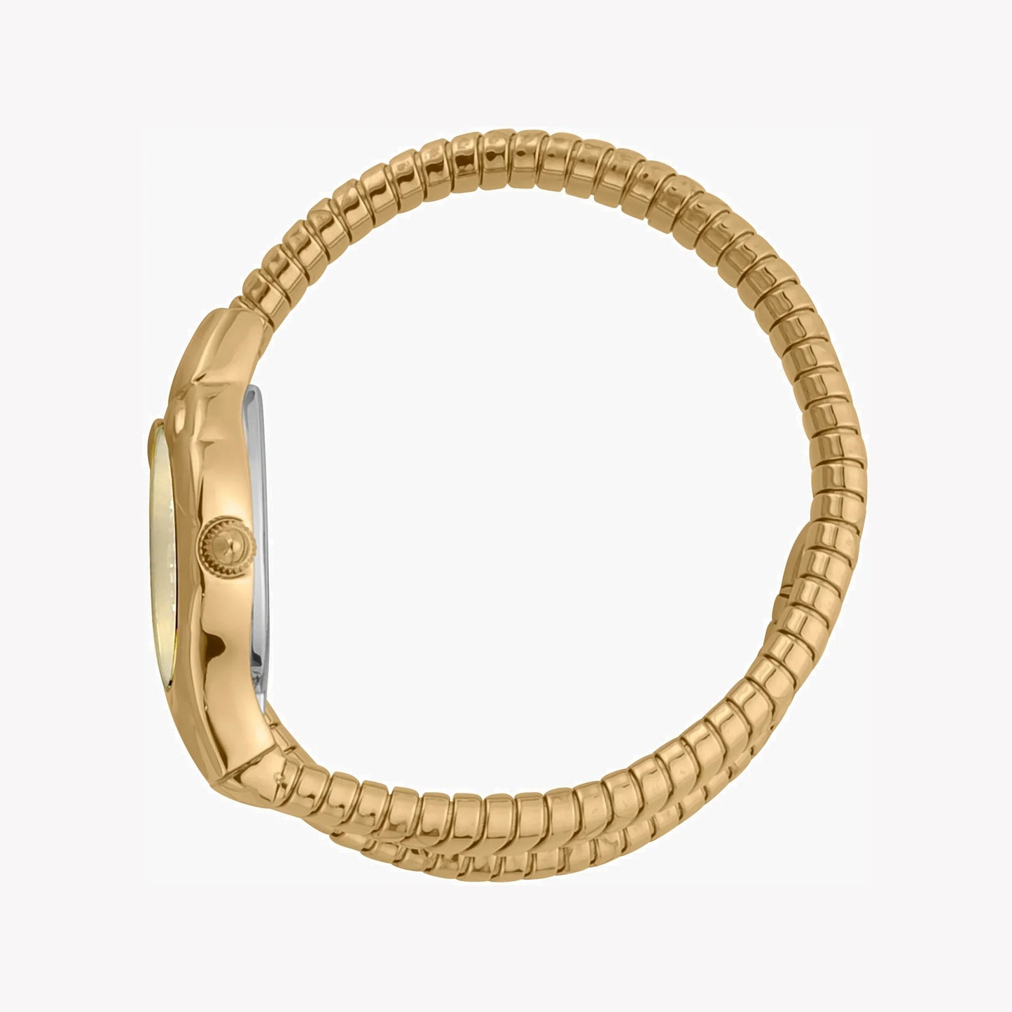 Just Cavalli Women's Gold Stainless Steel Watch, Champagne Dial | Jc1l186m0025