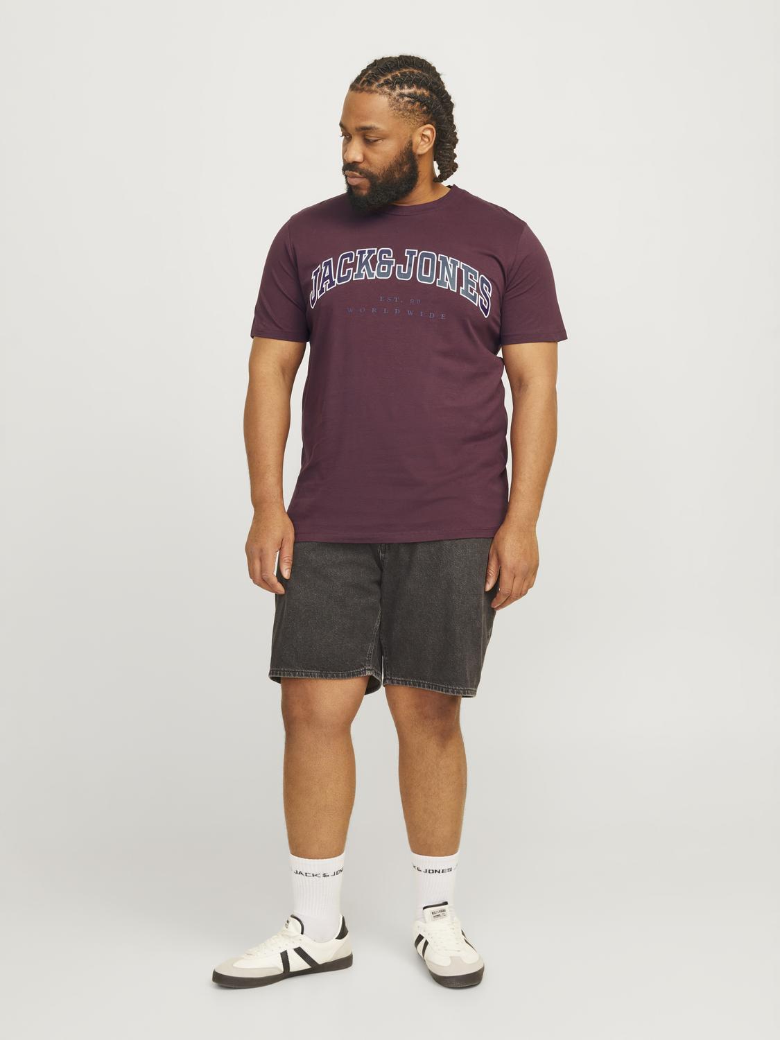 Jack & Jones Men's Big Size Jjecaleb Varsity Crew Neck T-Shirt 2 Colours, 2XL to 6XL
