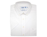 Double Two Men's Plus Size Oxford Casual Shirt in 3 Colour Options 2XL to 5XL (DTLS1109)