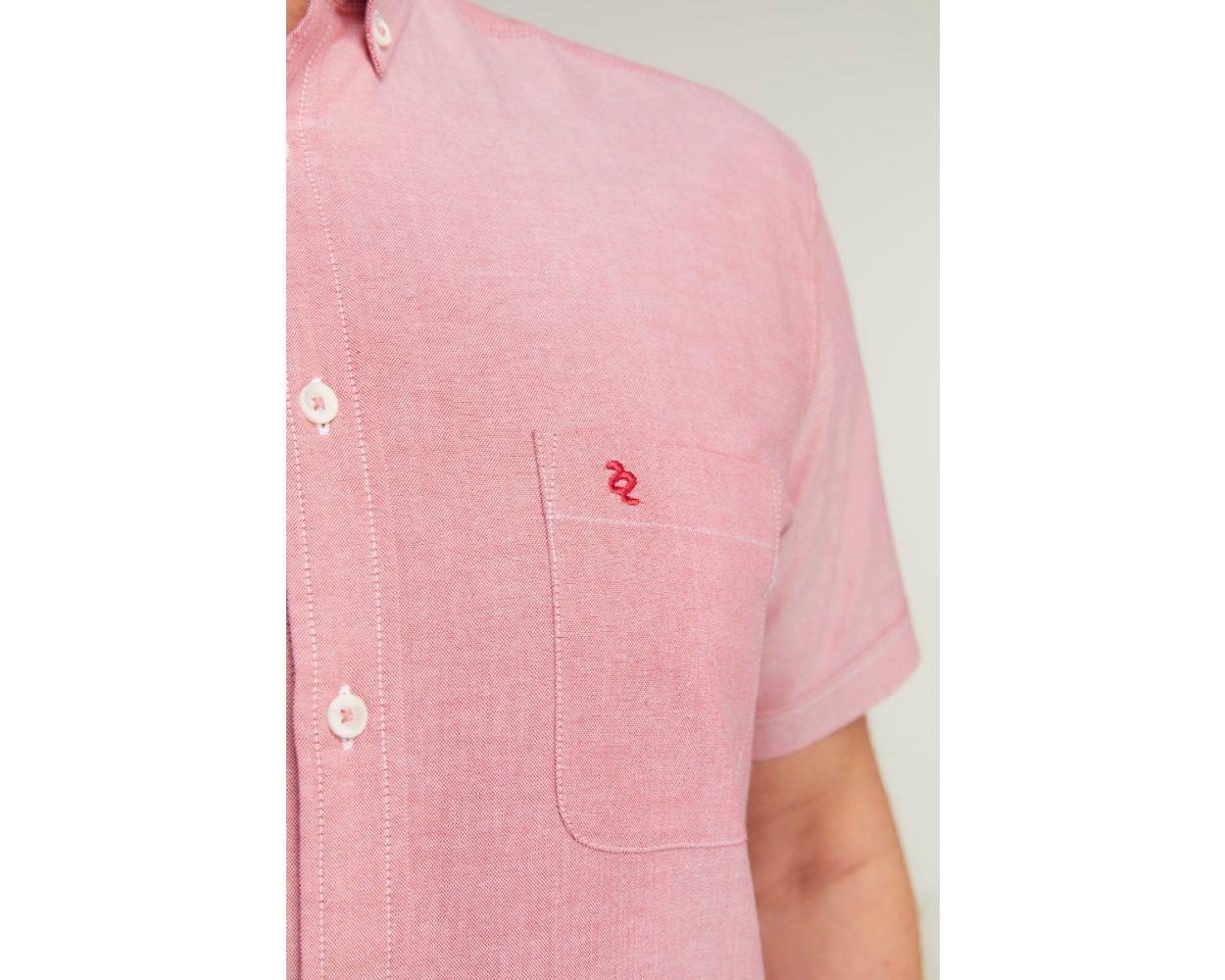 Double Two Men's Plus Size Oxford Casual Shirt in 3 Colour Options 2XL to 5XL (DTLS1109)