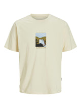 Jack & Jones Short Sleeves T-shirt For Men (JORSPLIT GRAPHIC FRONT) in 3 Colours, 4XL-7XL