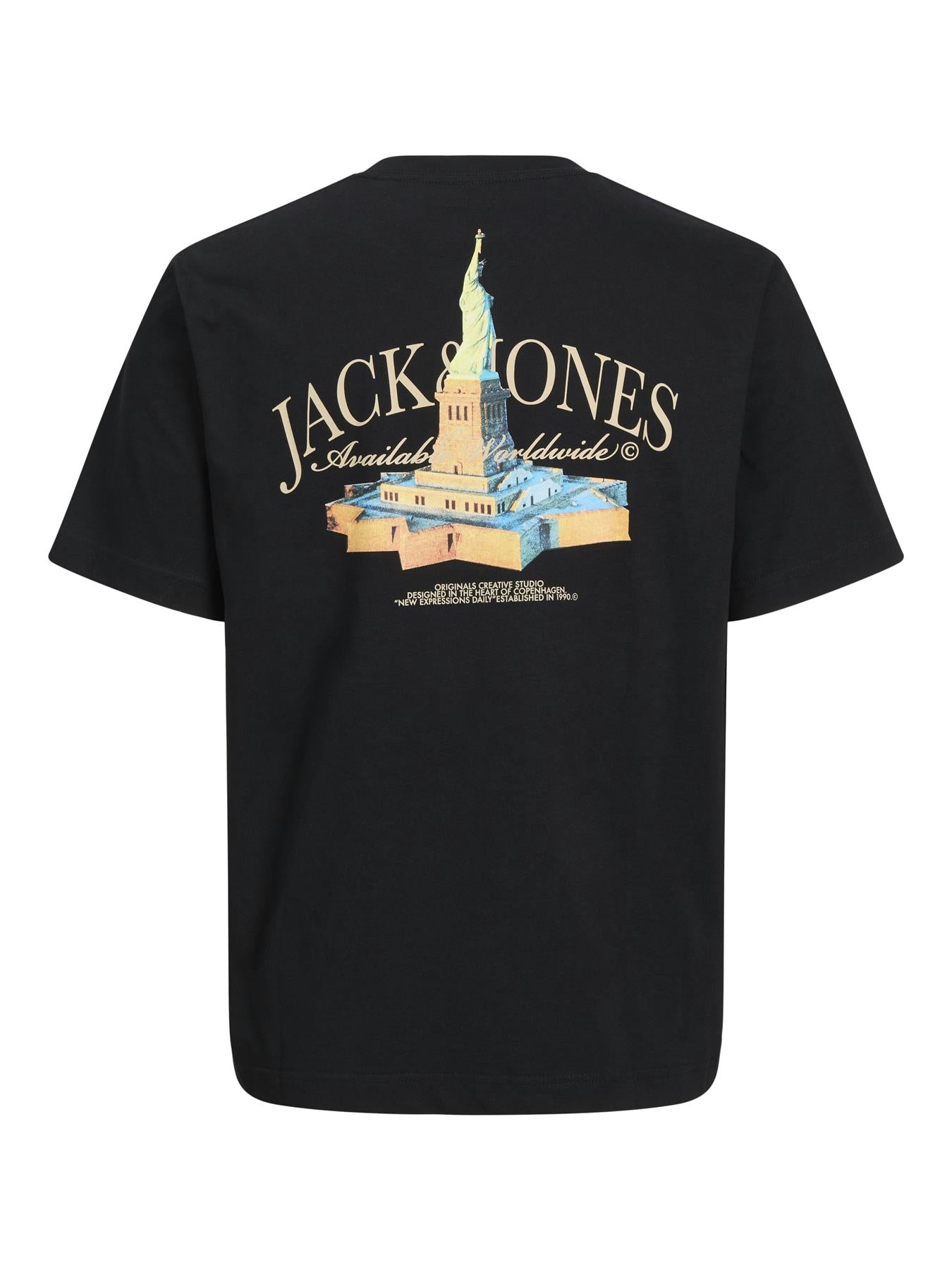 Jack & Jones Short Sleeves T-shirt For Men (JORBOSTON PHOTO) in 3 Colours, S-XXL