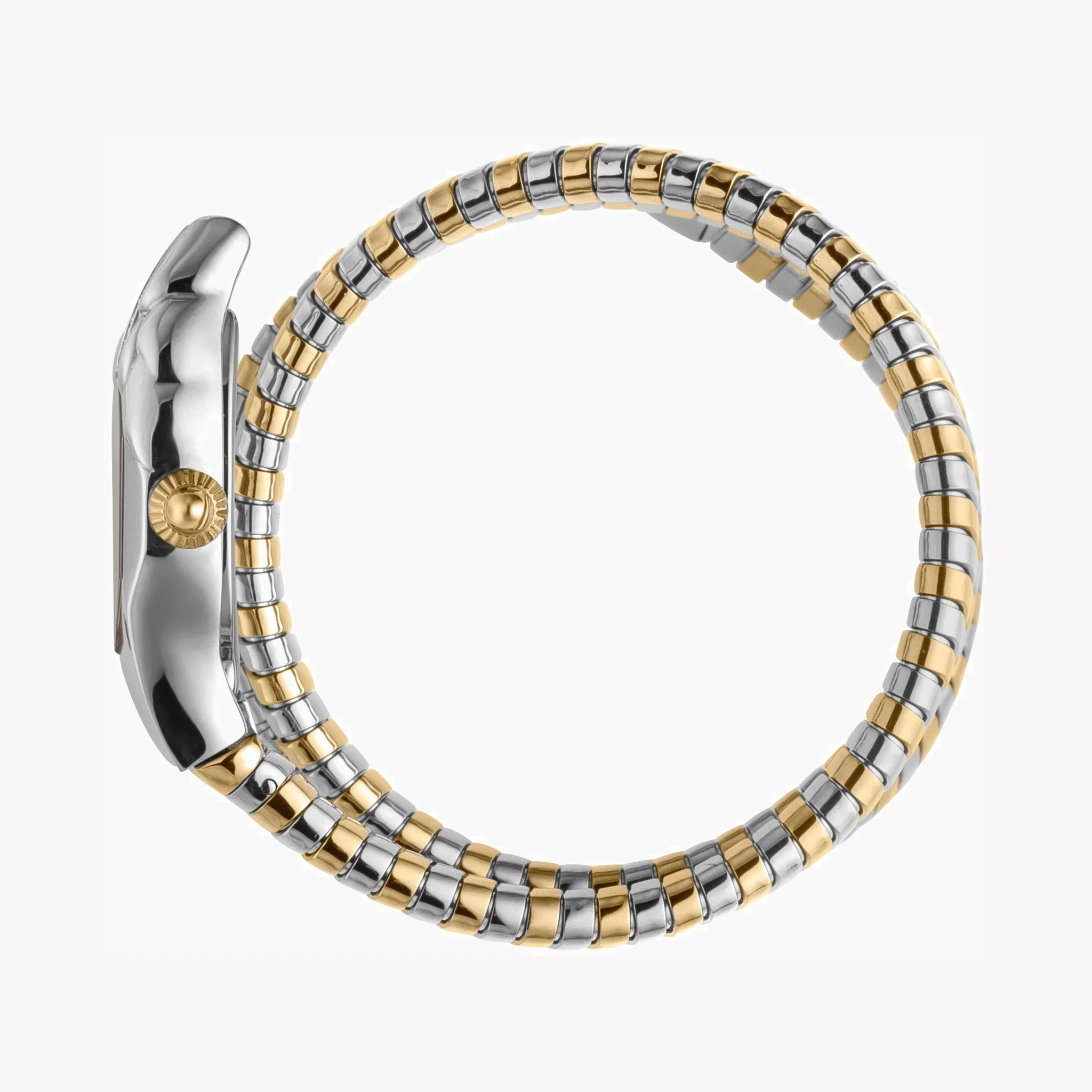 Just Cavalli Women's Silver & Gold Watch, Silver Dial | Jc1l022m0045