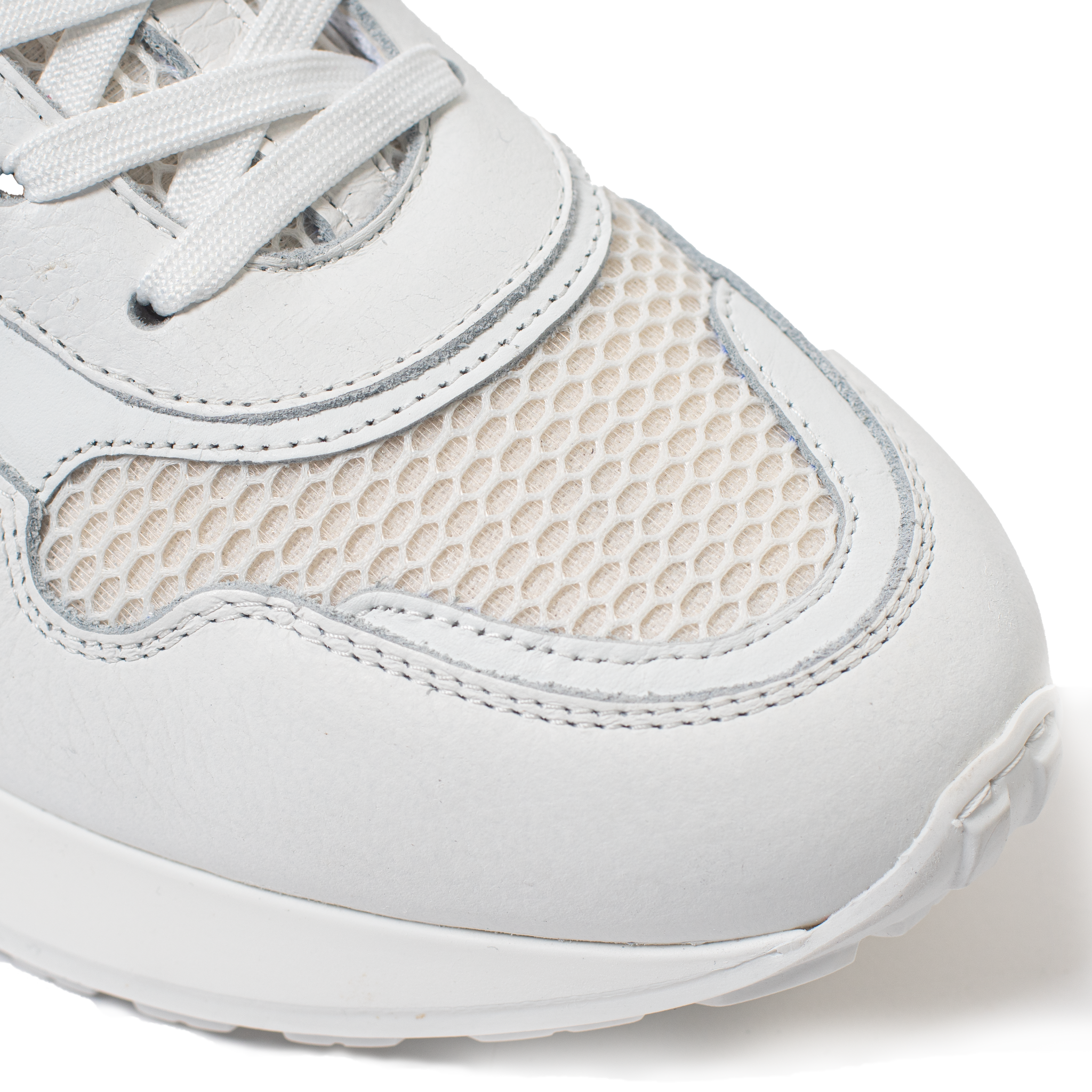 Road Runner Blanco White