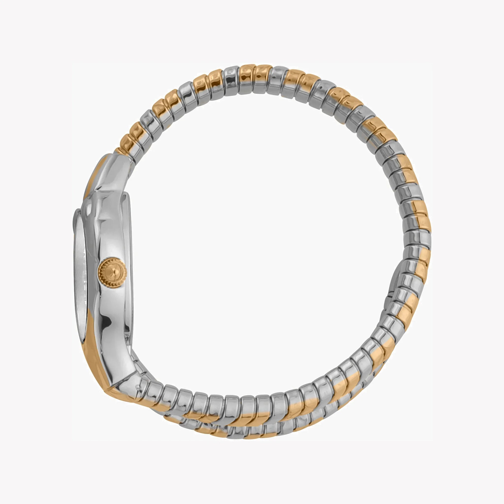 Just Cavalli Women's Silver & Gold Watch, Silver Dial Jc1l186m0055