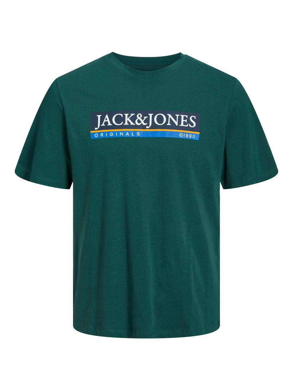 Jack & Jones Men's Plus Size JORCODYY Crew Neck Tee in 2 Colours 1XL to 6XL