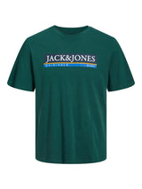 Jack & Jones Men's Plus Size JORCODYY Crew Neck Tee in 2 Colours 1XL to 6XL