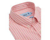 Double Two Men's Pure Cotton Short Sleeve Stripe Shirt in Pink/White 2XL to 5XL