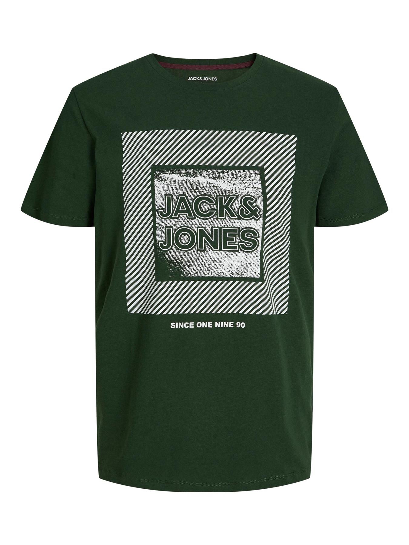 Jack & Jones Plus (12245472) JJSTEIN SS Crew Neck T-Shirt in 2 Colour Options 1XL to 6XL