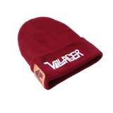 Villager Embroidered Knit Beanie
