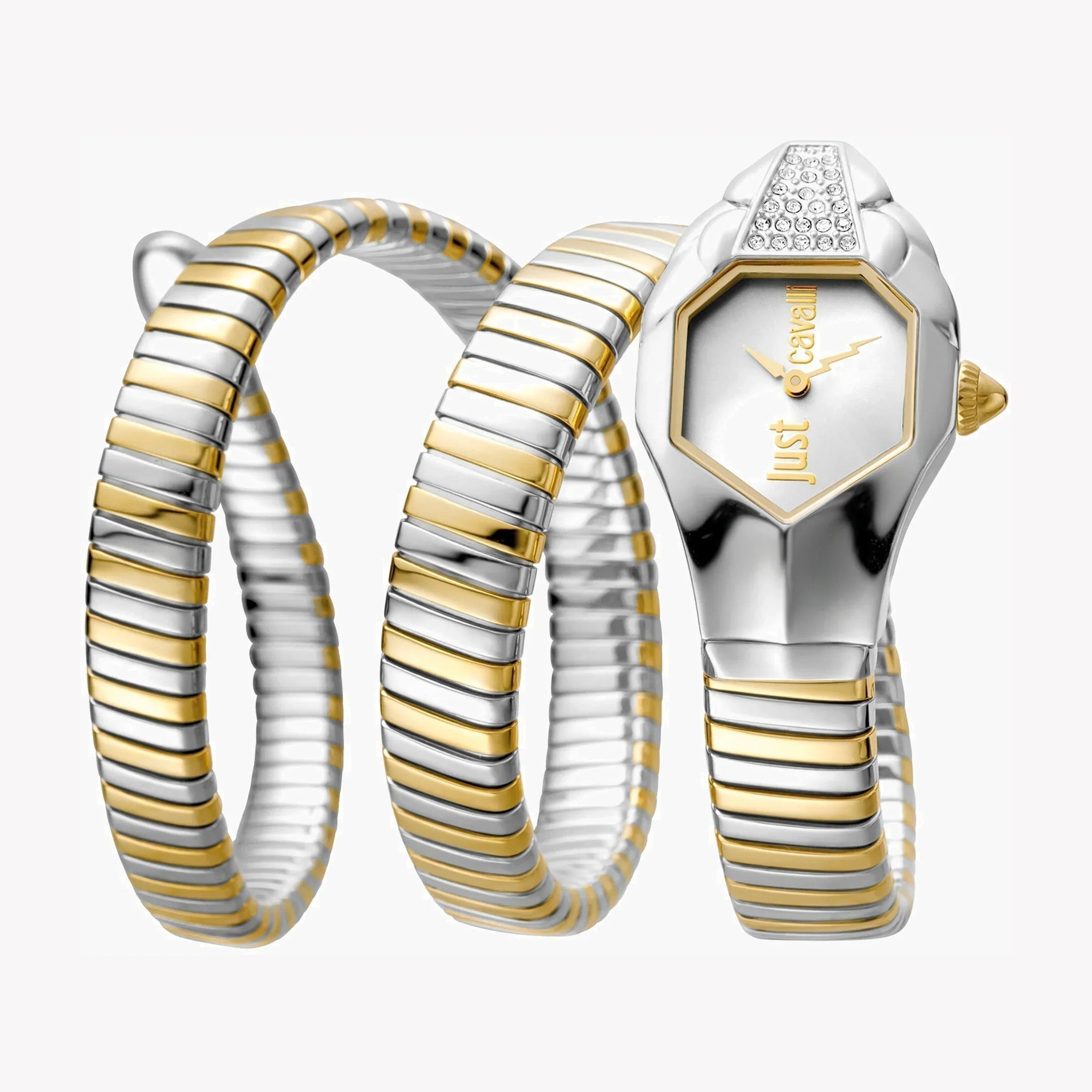 Just Cavalli Women's Silver & Gold Watch, Silver Dial | Jc1l022m0045