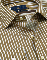 Beige Striped Cotton Dress Shirt