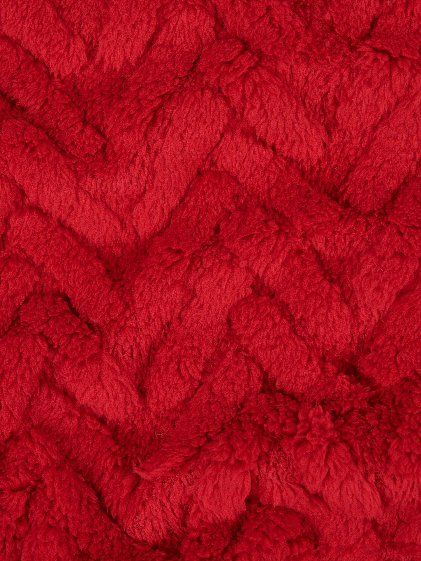 Premium Fern Jacquard Throw & Cushion Set in Savvy Red