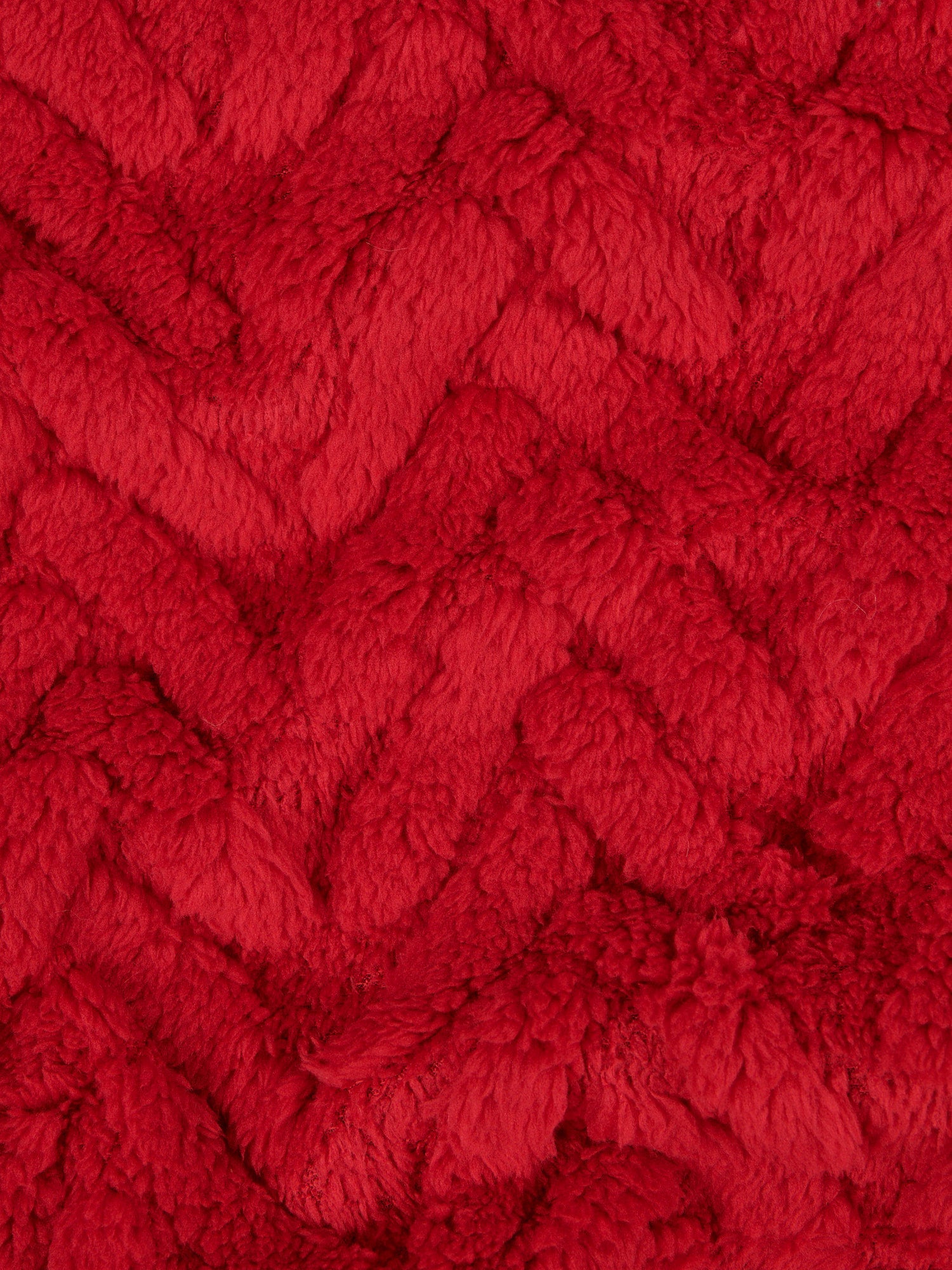 Premium Fern Jacquard Throw & Cushion Set in Savvy Red
