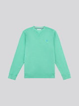 Mens Garment Dye Crew Neck Sweatshirt in Golf Green