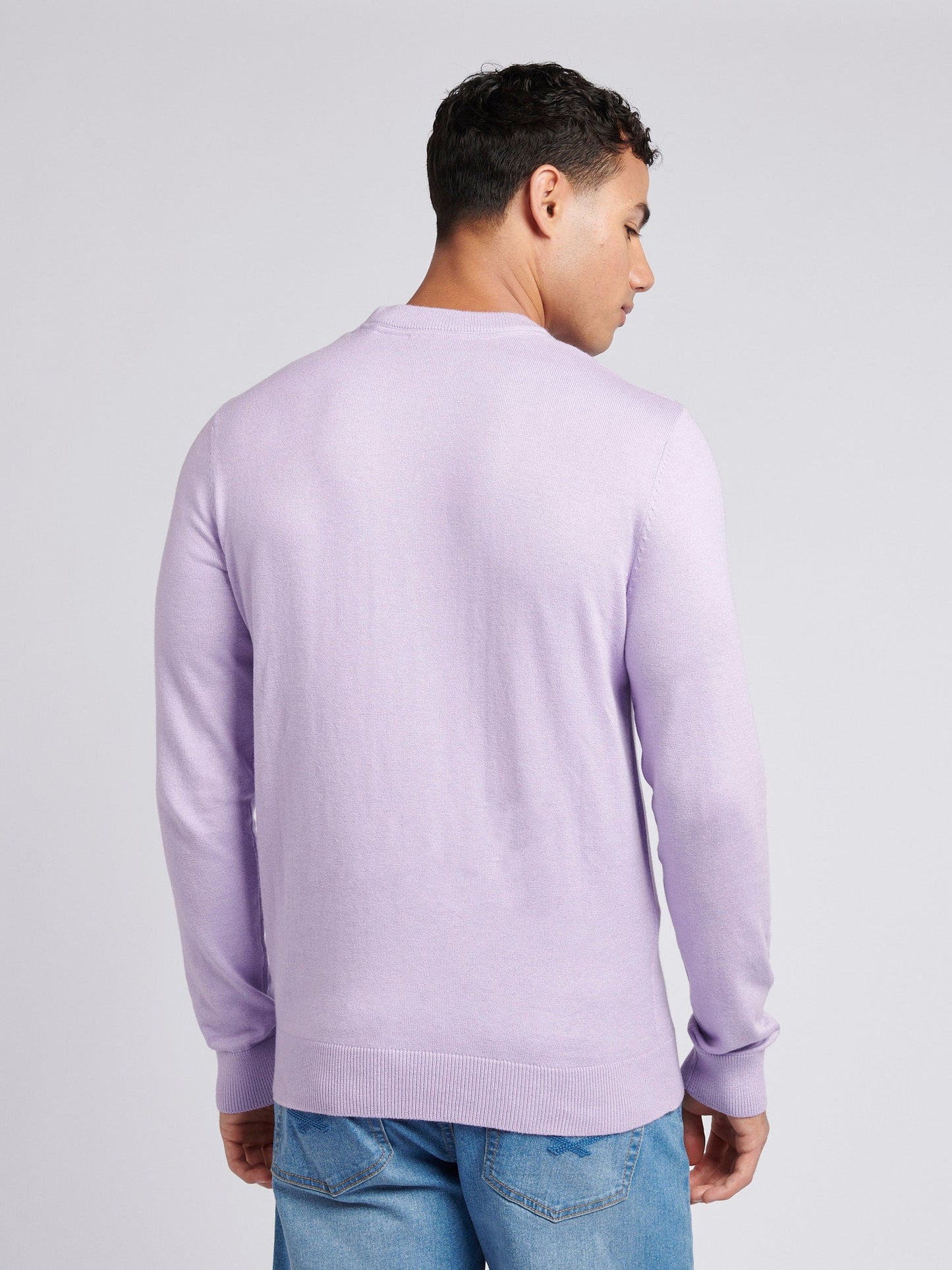Mens Cotton Crewneck in Lilac Breeze