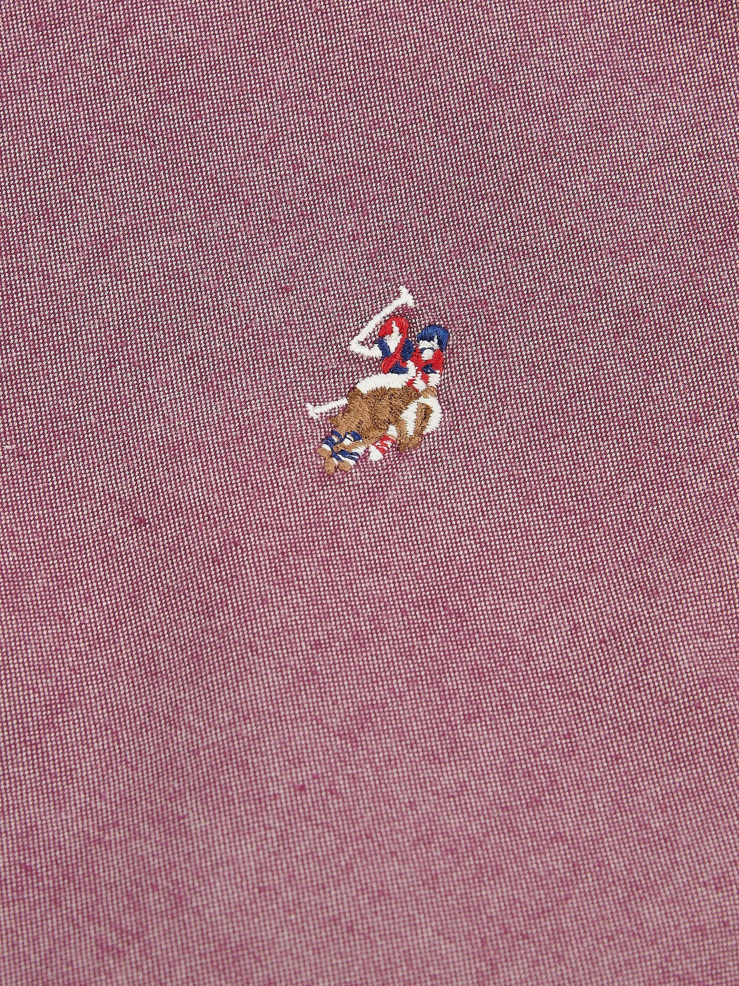 Mens Peached Oxford Shirt Grape Wine