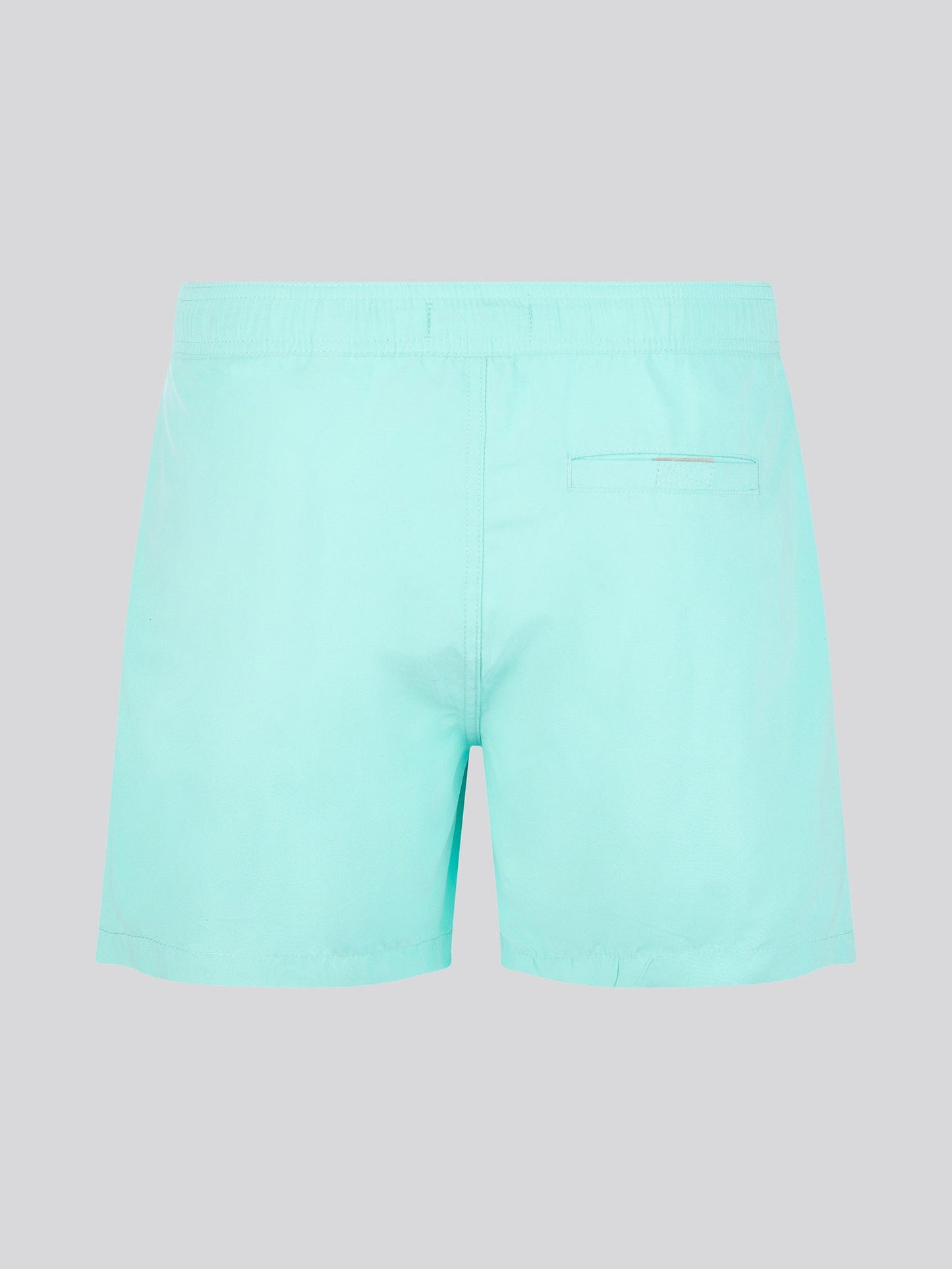 Mens Core Swim Short Pool Blue
