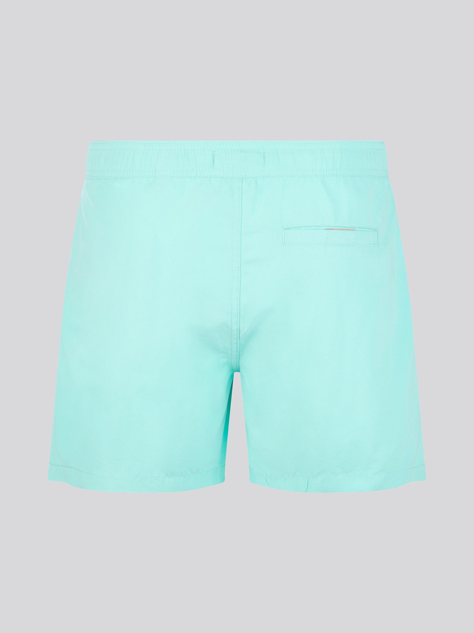 Mens Core Swim Short Pool Blue