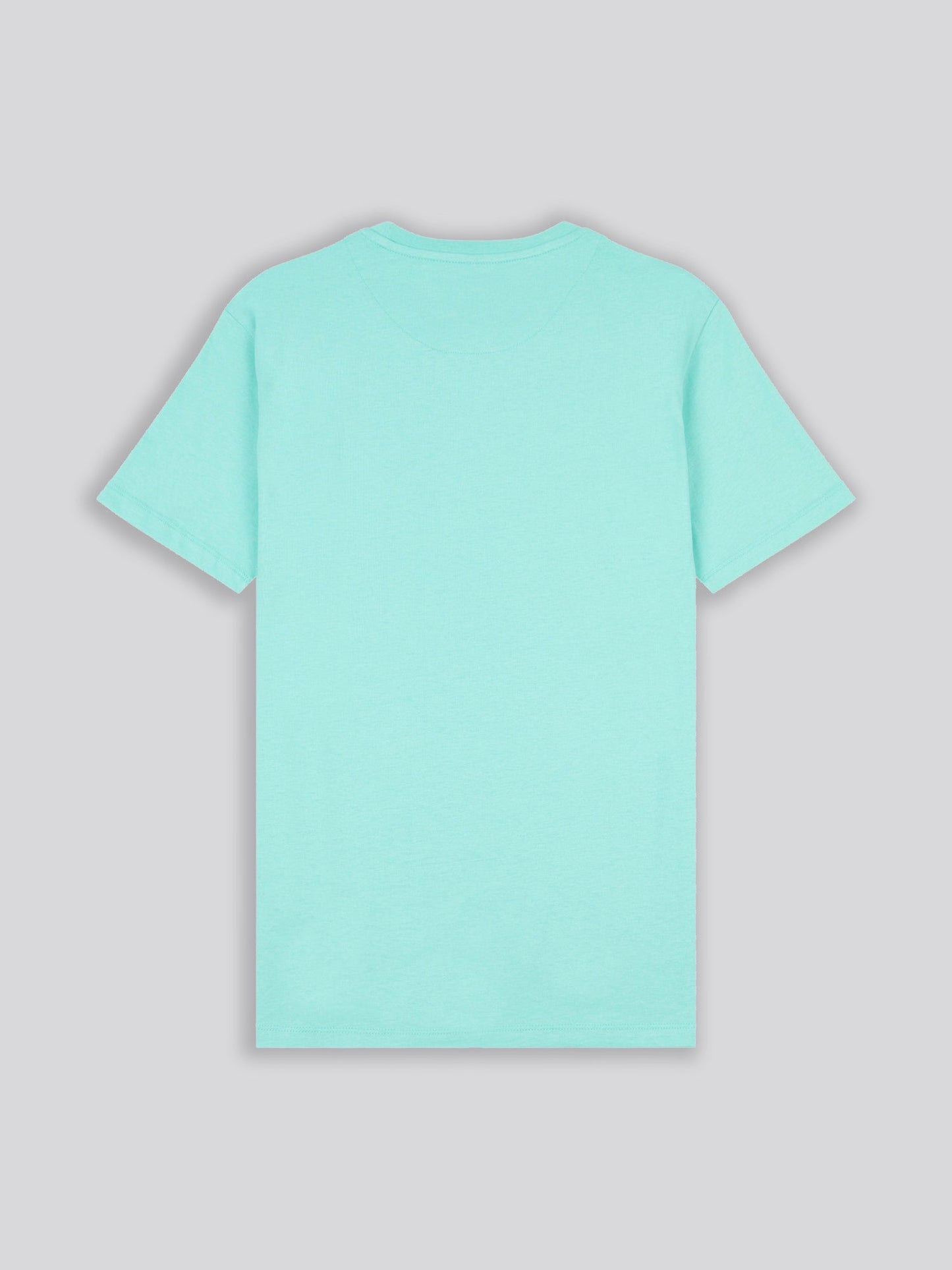 Mens USPA Print Graphic T-Shirt Pool Blue