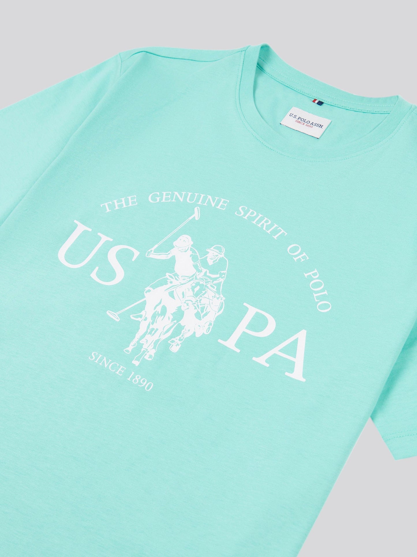 Mens USPA Print Graphic T-Shirt Pool Blue