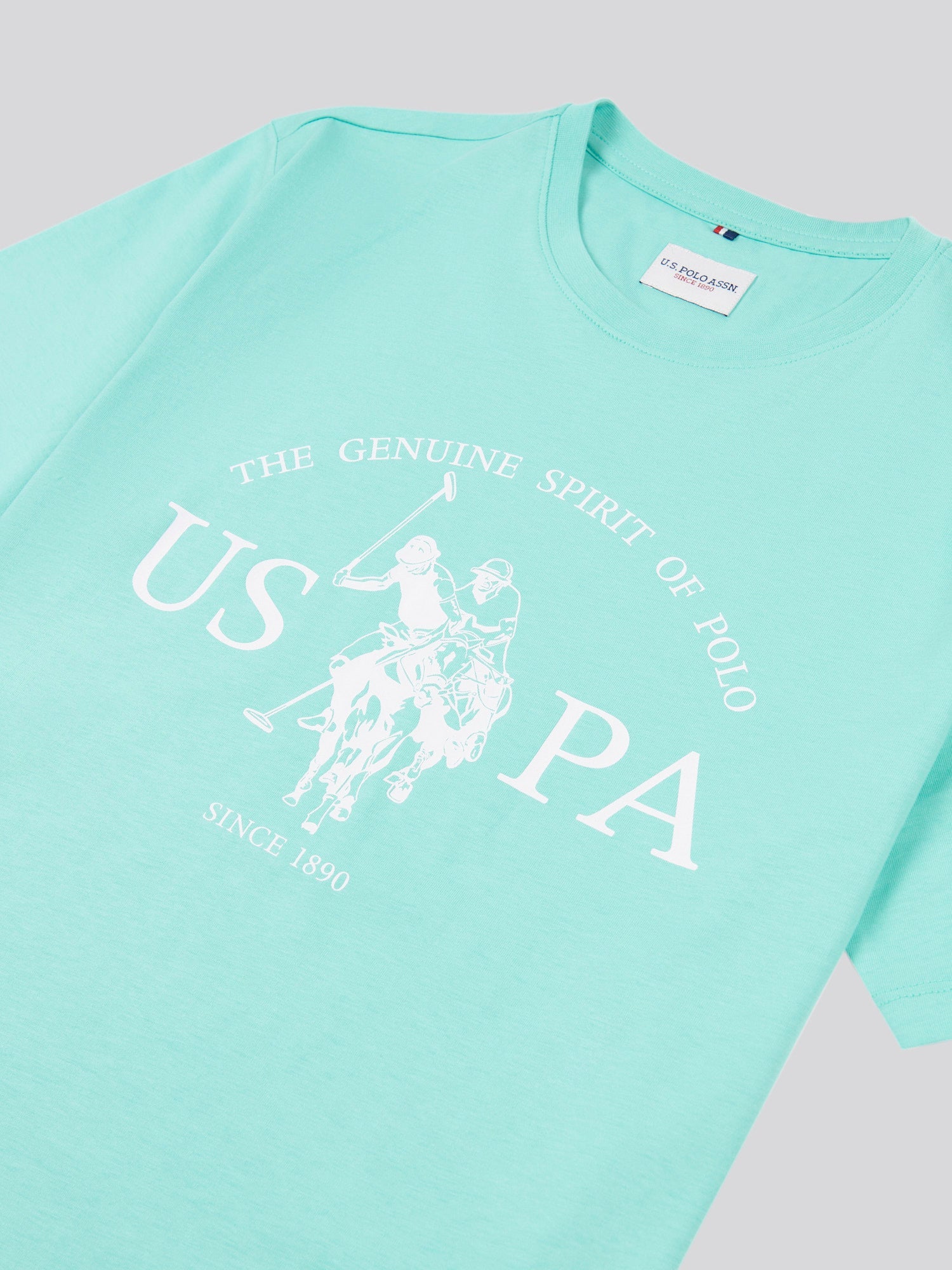 Mens USPA Print Graphic T-Shirt Pool Blue