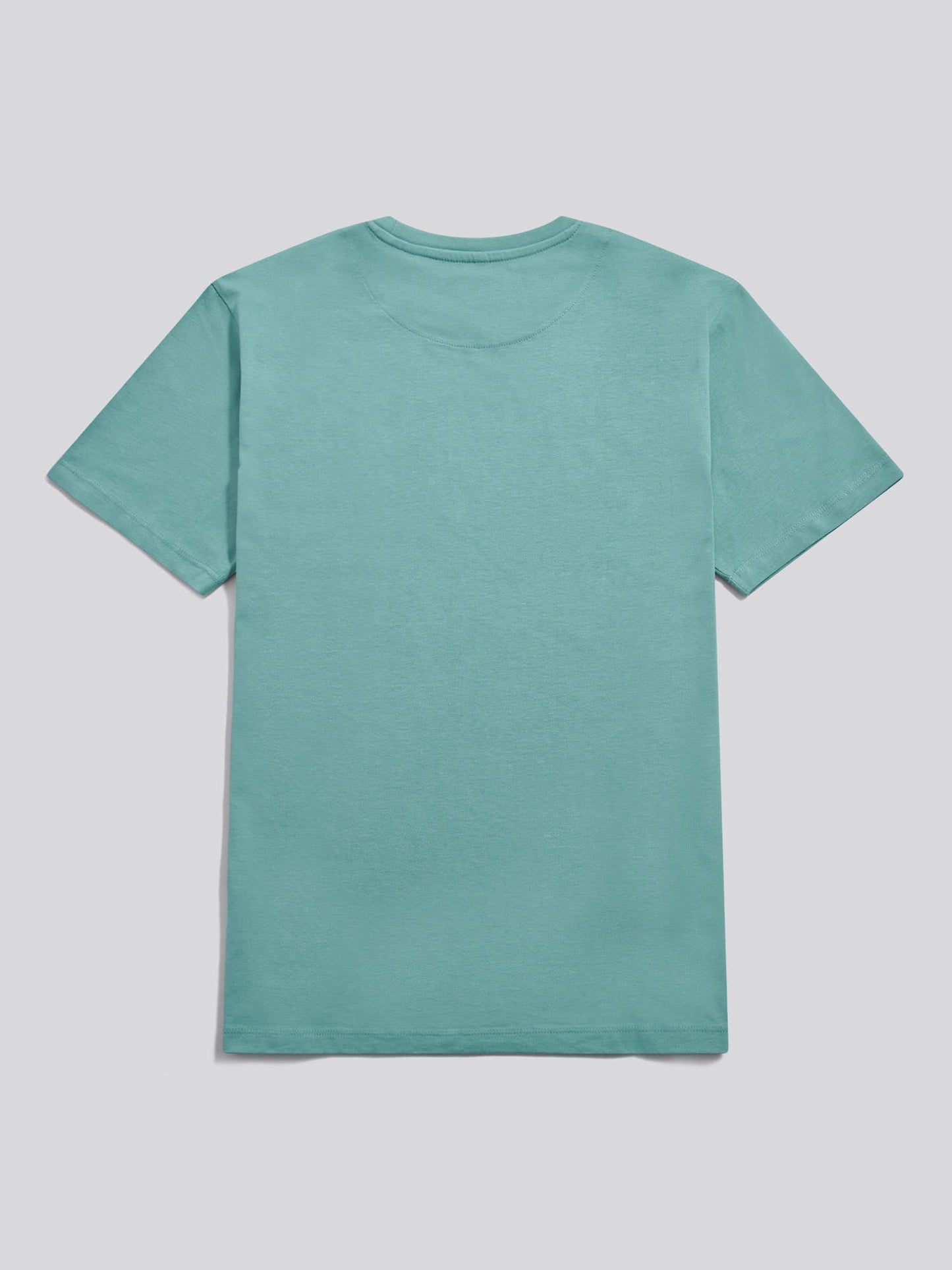 Mens USPA Print Graphic T-Shirt Arctic