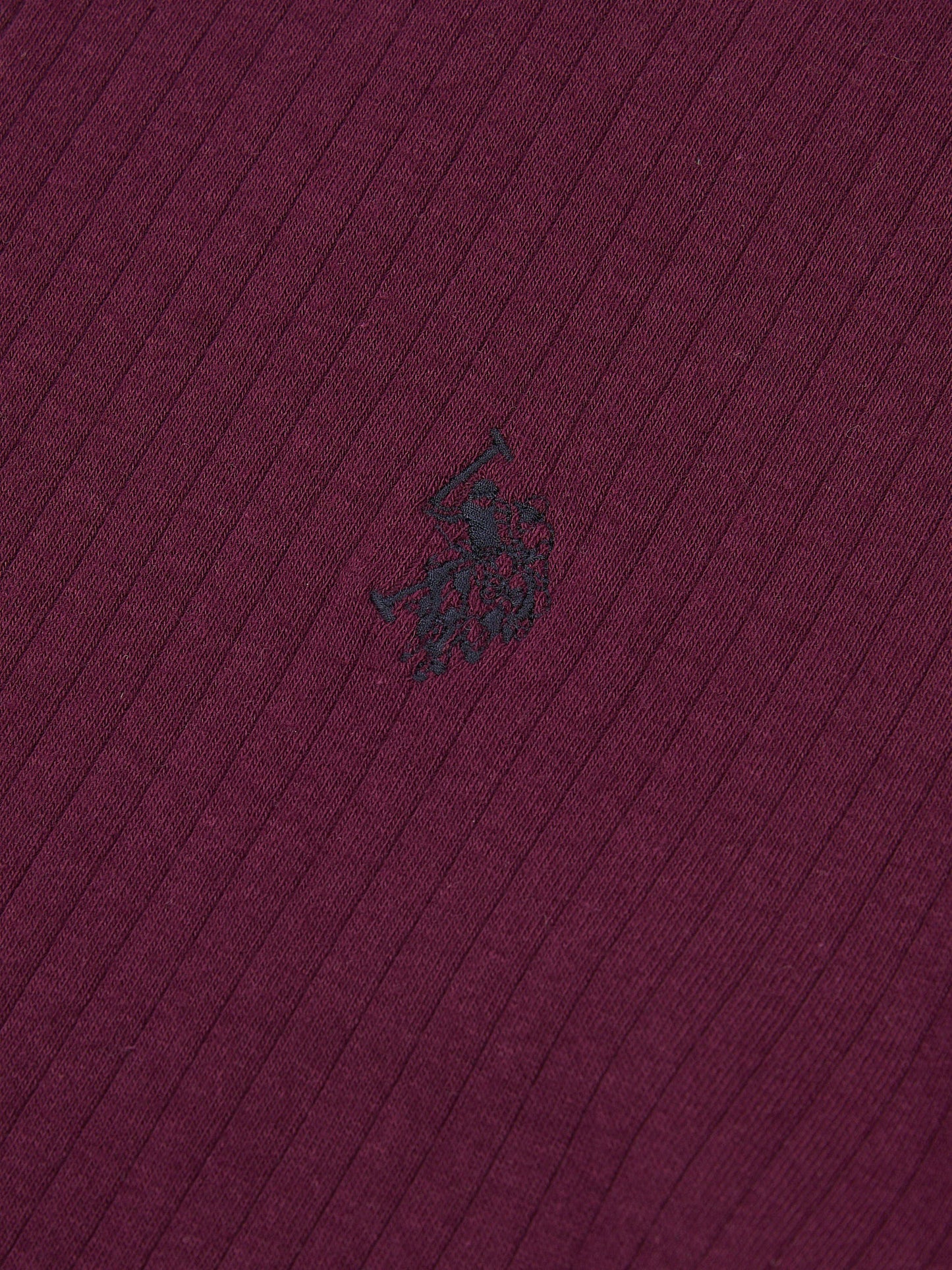 Mens Rib Texture Polo Shirt in Grape Wine