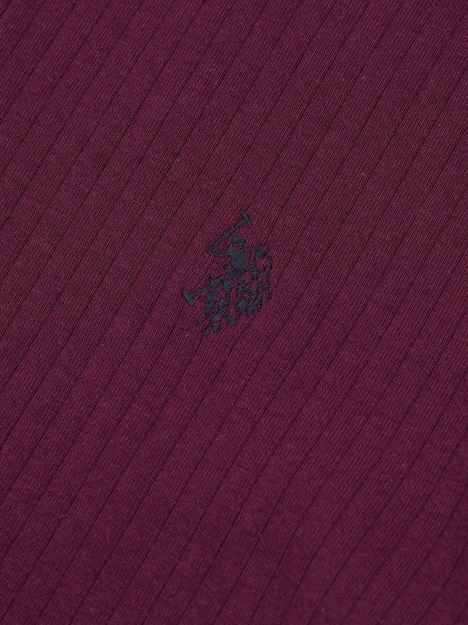 Mens Rib Texture Polo Shirt in Grape Wine