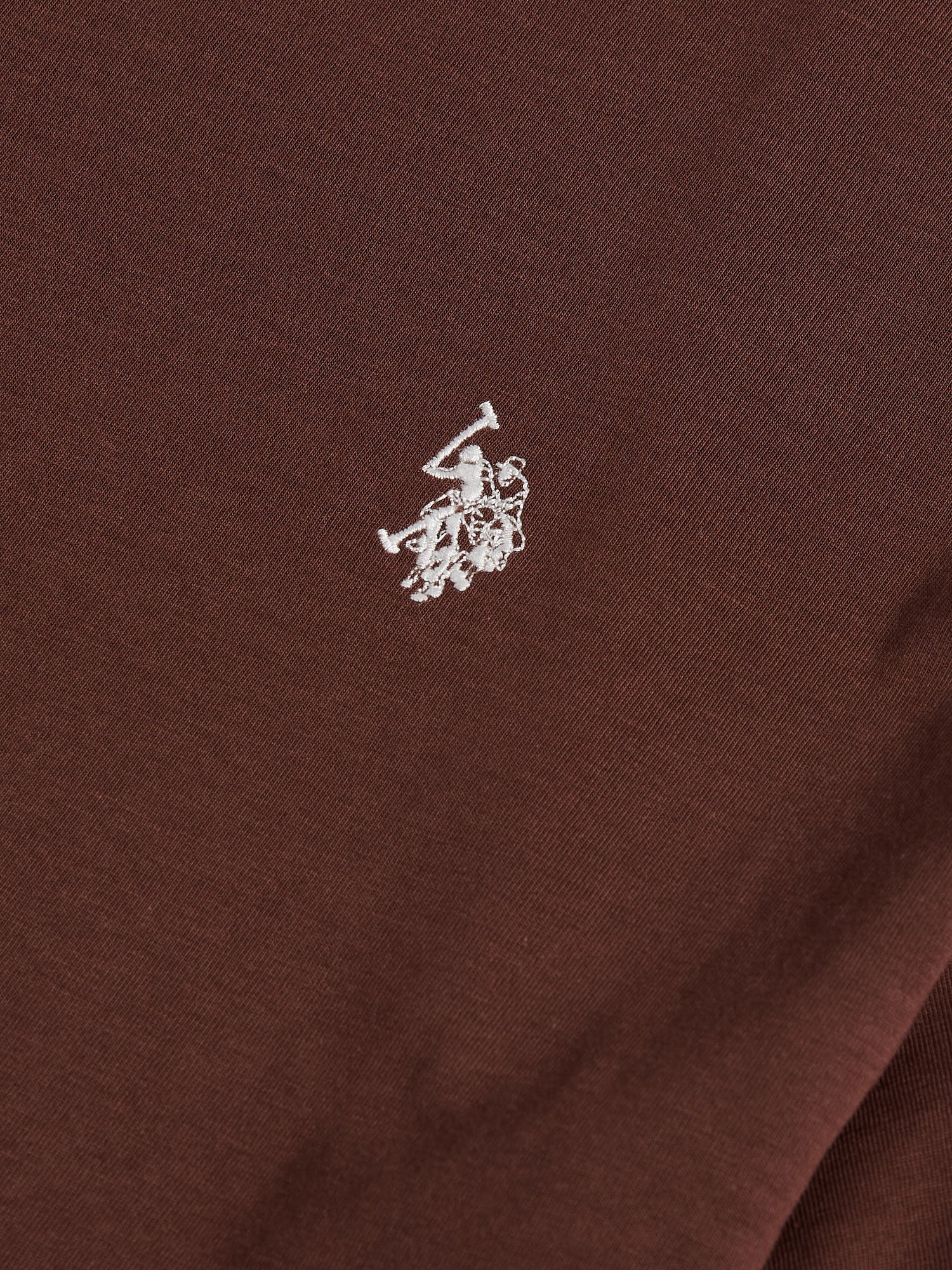 Mens USPA Back Graphic T-Shirt in Chocolate Martini