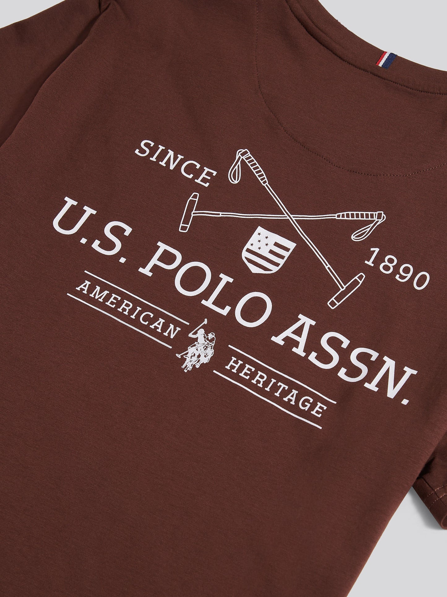Mens USPA Back Graphic T-Shirt in Chocolate Martini