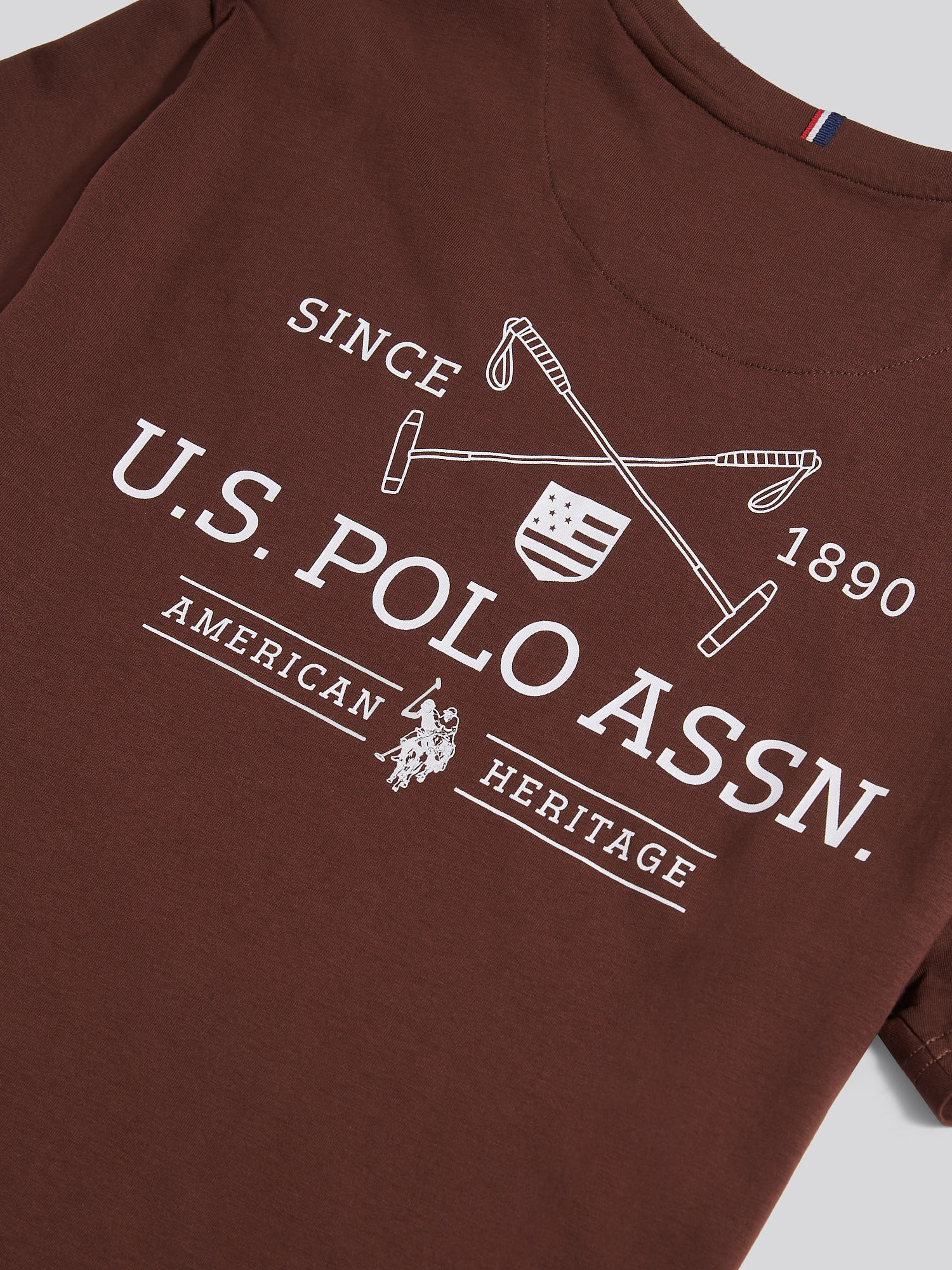 Mens USPA Back Graphic T-Shirt in Chocolate Martini
