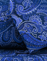 Marine Blue Paisley Silk Tie