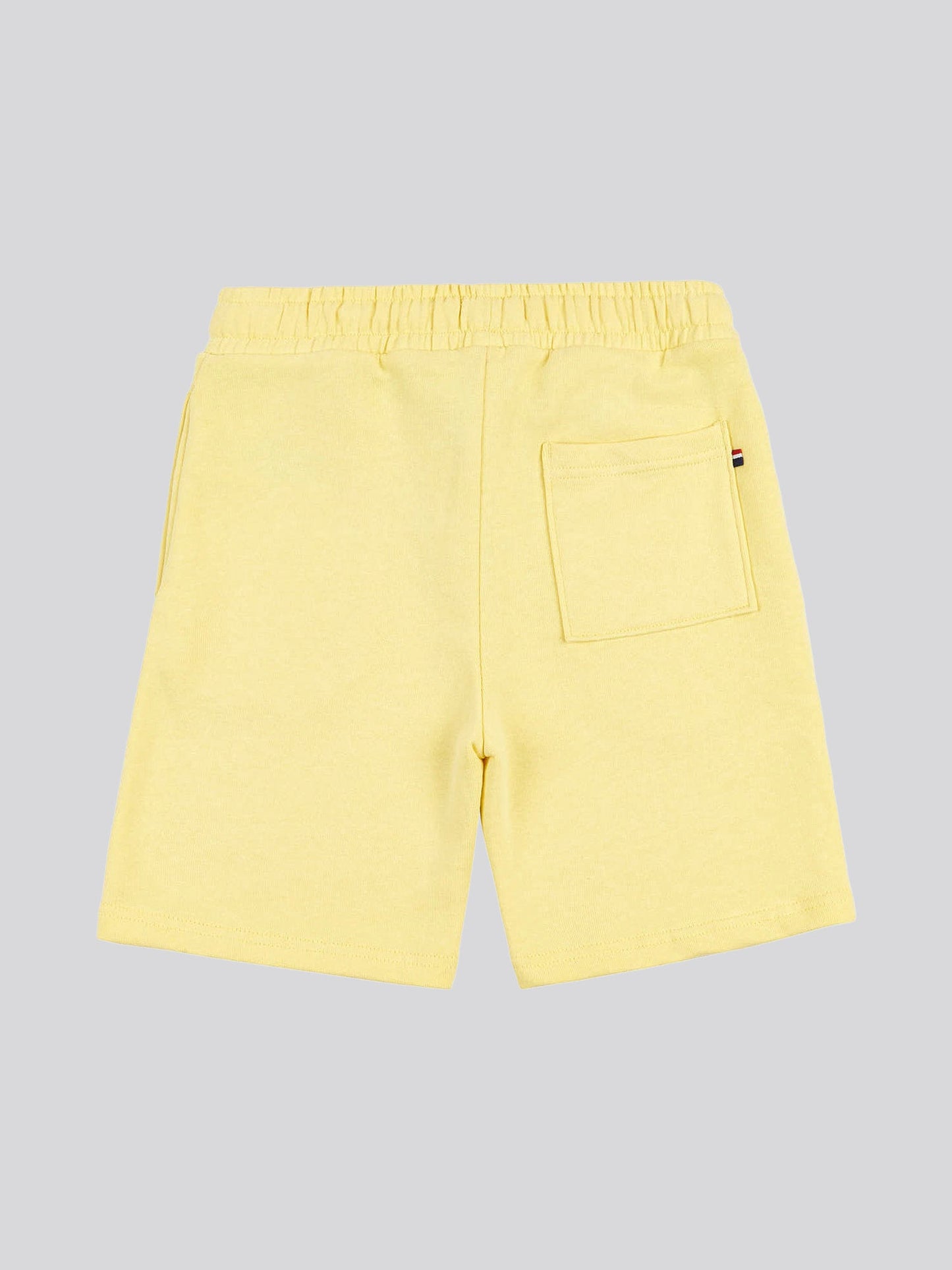 Boys Block Flag Graphic Shorts in Popcorn