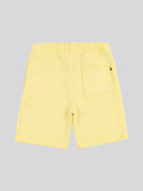 Boys Block Flag Graphic Shorts in Popcorn