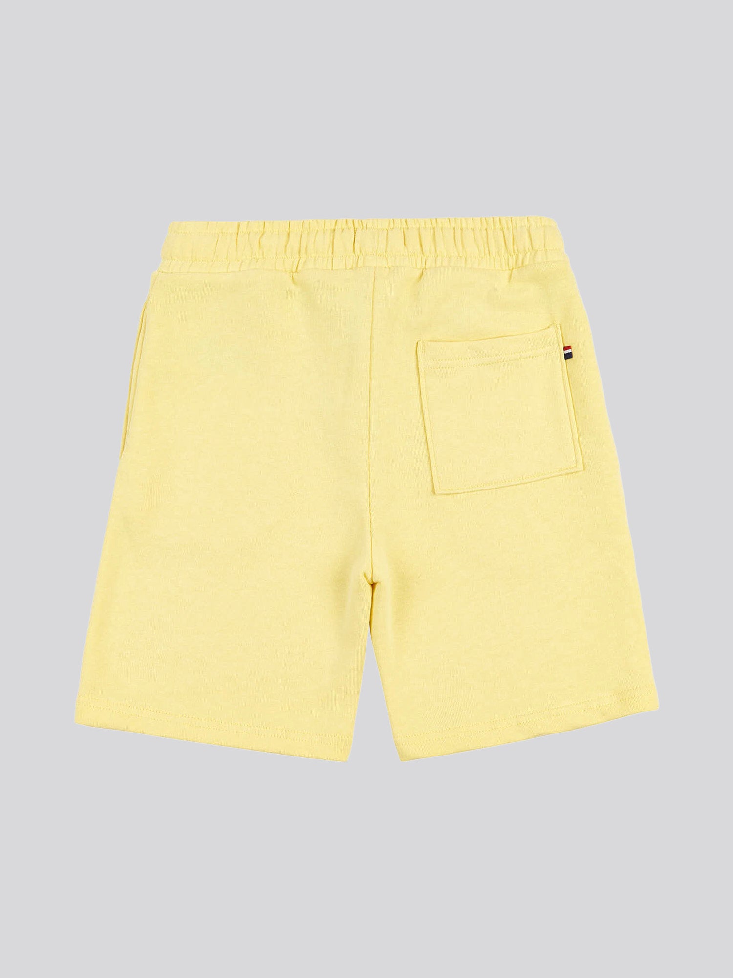 Boys Block Flag Graphic Shorts in Popcorn
