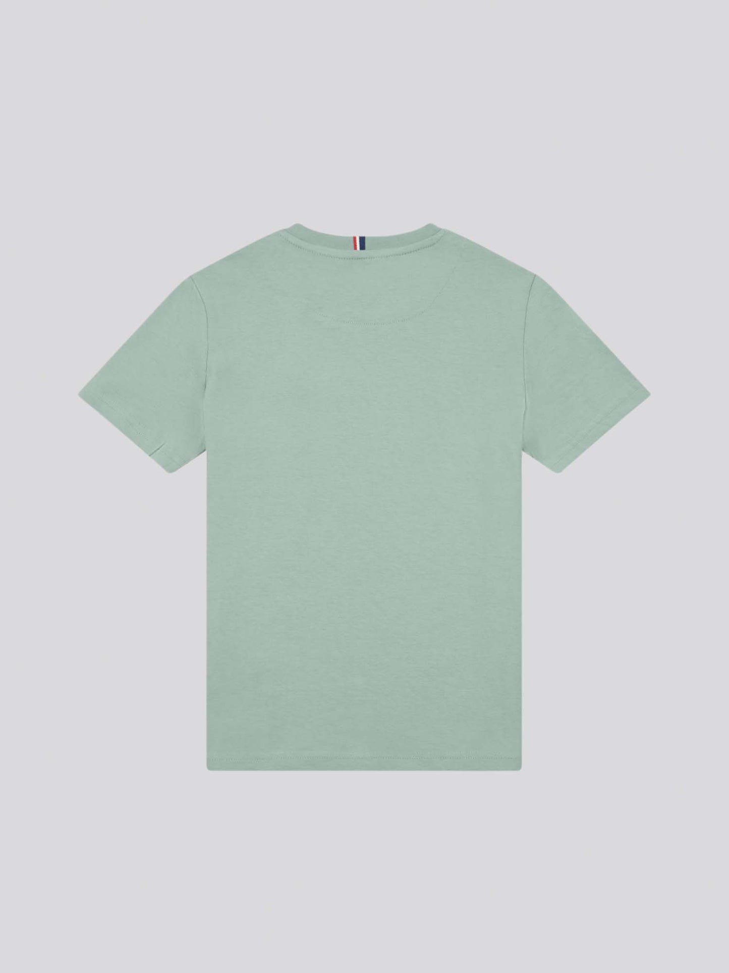 Boys Double Horsemen T- Shirt in Chinois Green