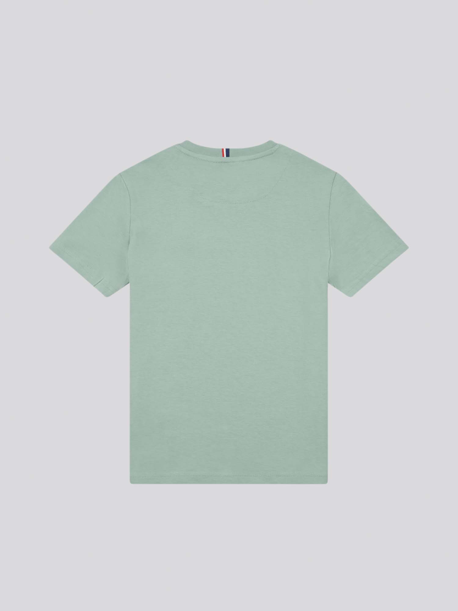Boys Double Horsemen T- Shirt in Chinois Green