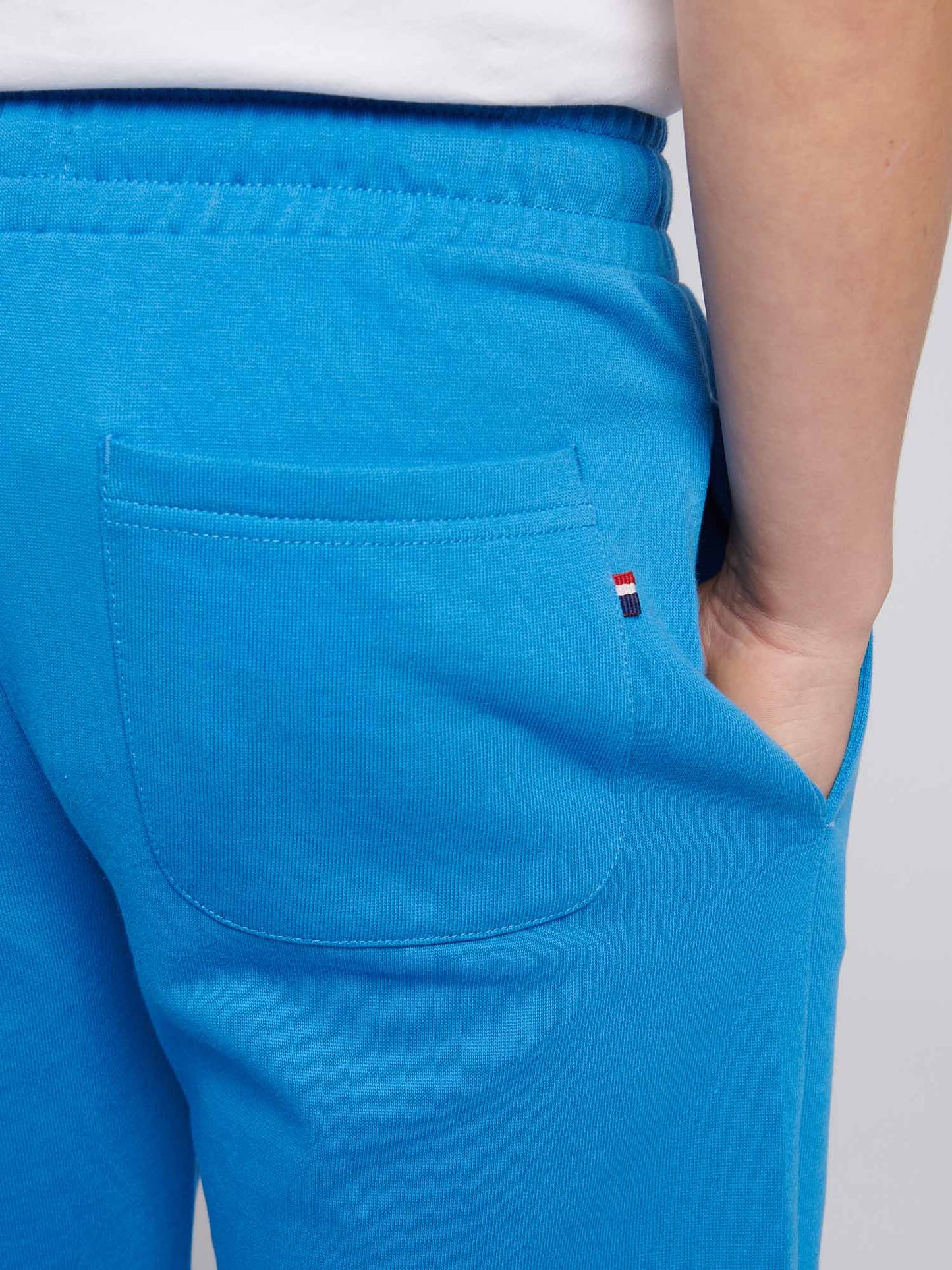 Boys Player 3 Sweat Short in Campanula