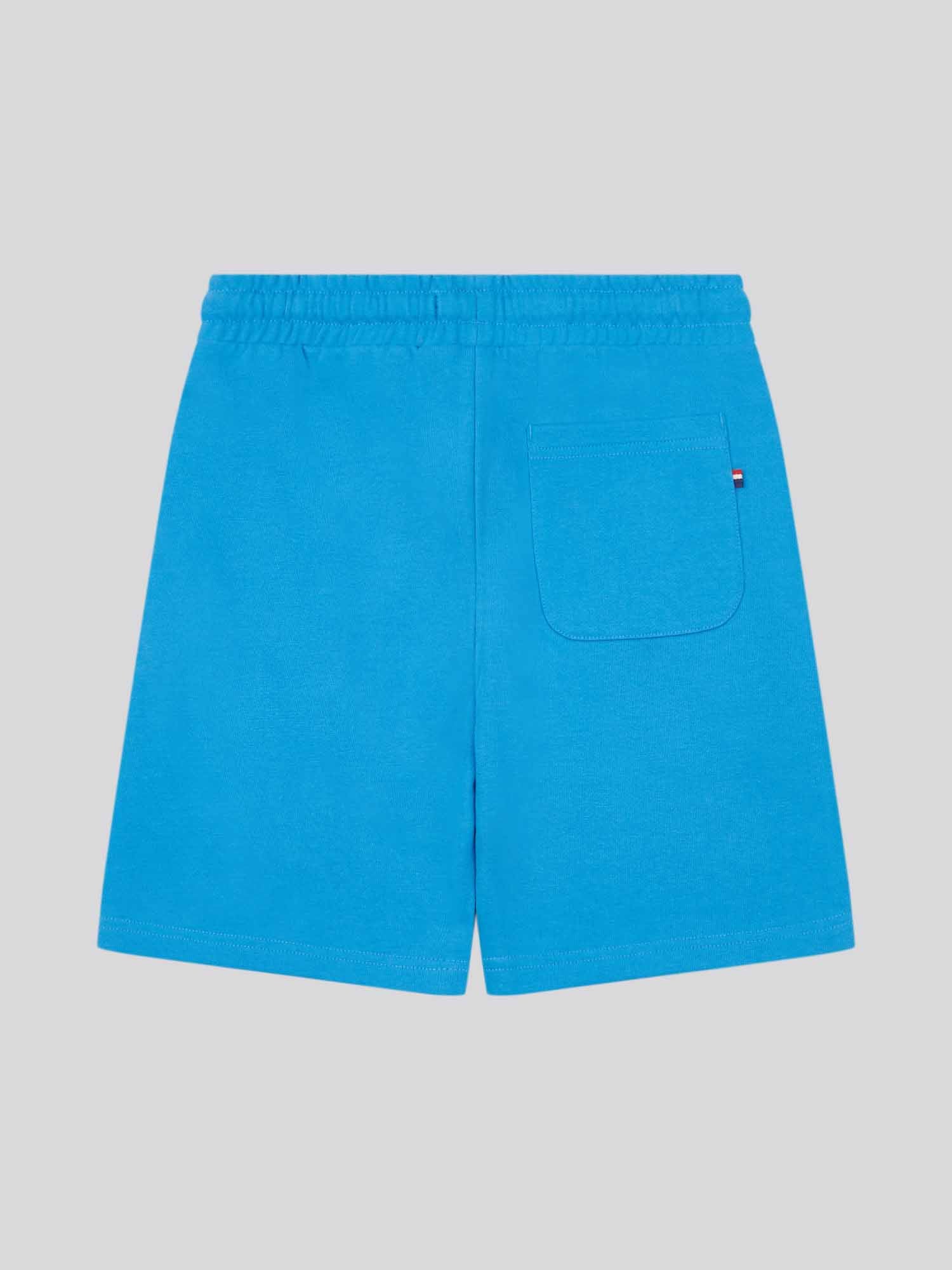Boys Player 3 Sweat Short in Campanula