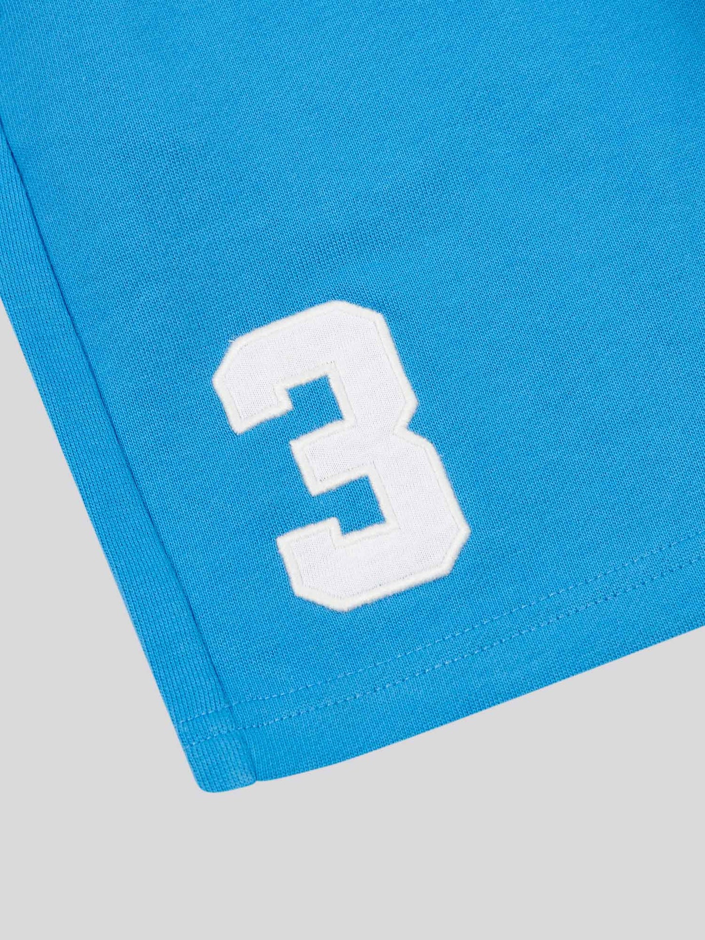 Boys Player 3 Sweat Short in Campanula